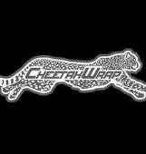 Cheetah Wraps